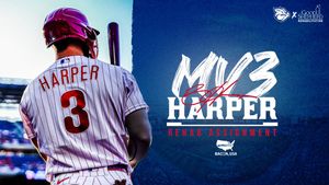 Image post by @IronPigs on Twitter/X
