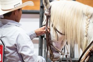 Image post by @womensrodeo on Instagram