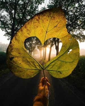 Image post by @instagram on Instagram