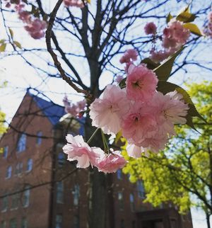 Image post by @shippensburgu on Instagram