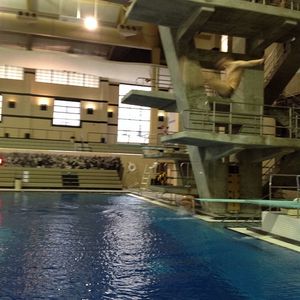 Image post by @utahswimdive on Instagram
