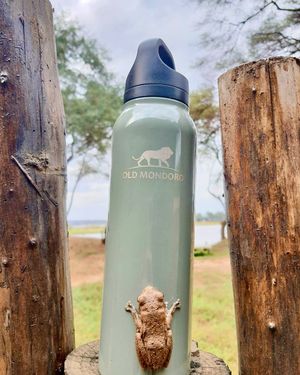 Image post by @chiawasafaris on Instagram