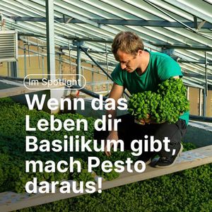 Image post by @qoqa_schweiz on Instagram