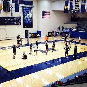 Image post by @beavervball on Instagram