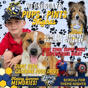 Image post by @burlington_bees on Instagram