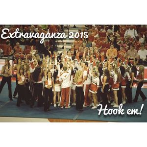 Image post by @utexasspirit on Instagram