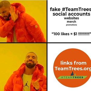 Image post by @teamtrees on Instagram