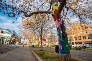Image post by @cityofcalgary on Instagram