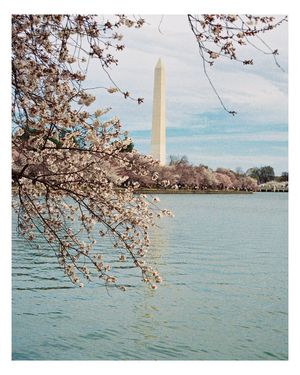 Image post by @gusj714 on Instagram