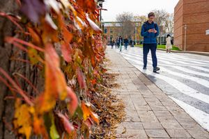 Image post by @stonybrooku on Instagram