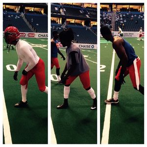 Image post by @jaxsharks on Instagram