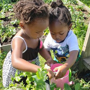 Image post by @kidsgardening on Instagram