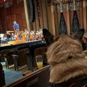 Image post by @spokanesymphony on Instagram