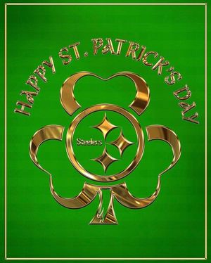 Image post by @steelersireland on Instagram