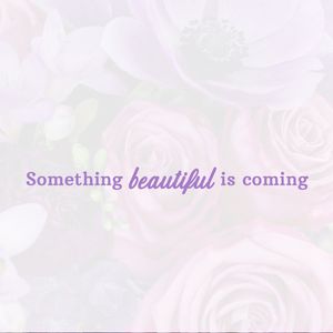 Image post by @shopbachmans on Instagram