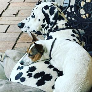 Image post by @snaffle_it on Instagram