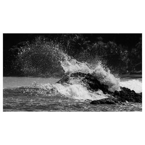 Image post by @truegoatphoto on Instagram