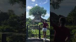Video post by @lizaotovo on YouTube