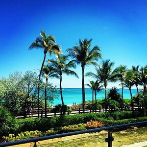 Image post by @elizabethelias on Instagram