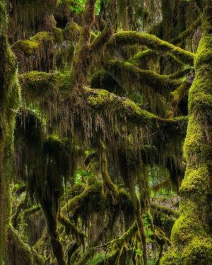 Image post by @nationalparkscollective on Instagram