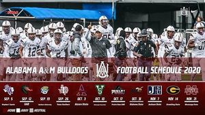 Image post by @aamufb on Instagram