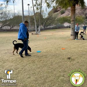 Image post by @tempeparksandrec on Instagram