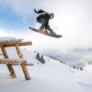 Image post by @chinookseedery on Instagram