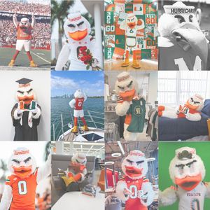 Image post by @univmiami on Instagram
