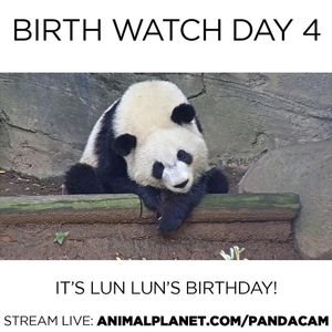 Image post by @animalplanet on Instagram