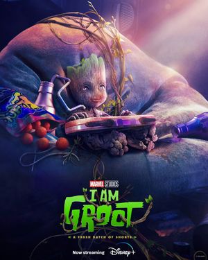 Image post by @DisneyPlus on Twitter/X