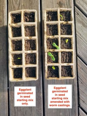 Image post by @GreenhillWormFarm on Facebook