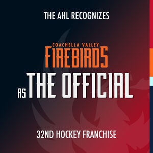 Image post by @firebirds on Instagram