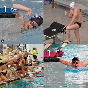Image post by @arcadia_swim on Instagram