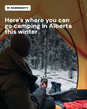Image post by @curiocitycalgary on Instagram