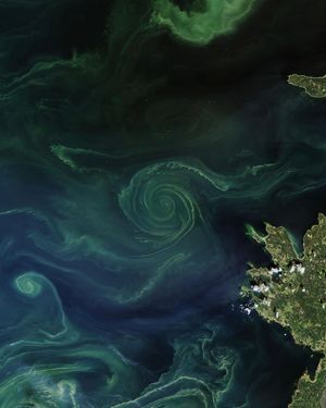 Image post by @nasa on Instagram