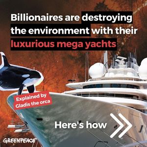 Image post by @greenpeace on Instagram