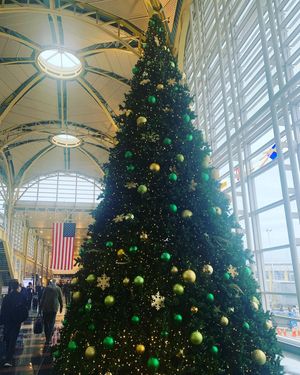 Image post by @seanmspicer on Instagram