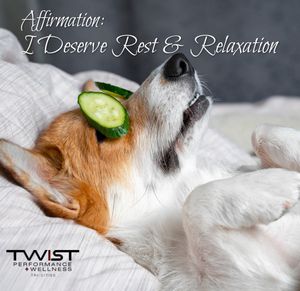 Image post by @twisttricities on Instagram