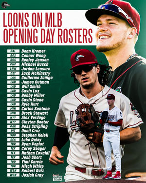 Image post by @greatlakesloons on Instagram