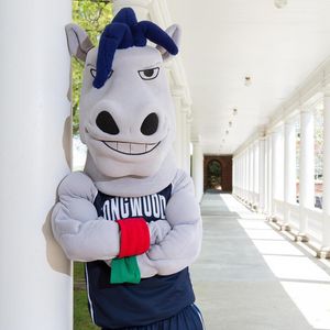 Image post by @bigsouthsports on Instagram