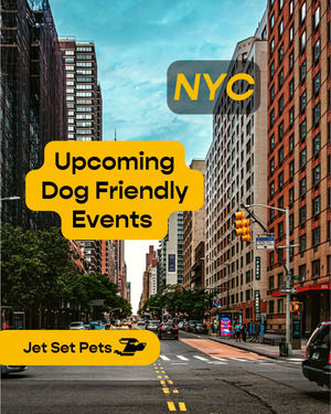 Image post by @jetsetpets on Instagram