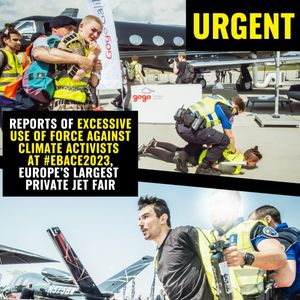 Image post by @greenpeace on Instagram