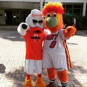 Image post by @um_sebastian on Instagram