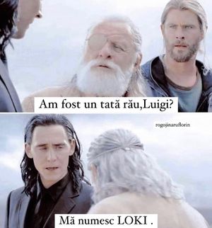 Image post by @rogojinaruflorin on Instagram