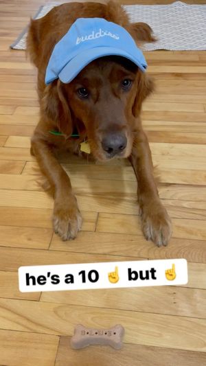 Video post by @bluebuffalo on Instagram