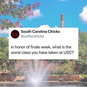 Image post by @southcarolinachicks on Instagram