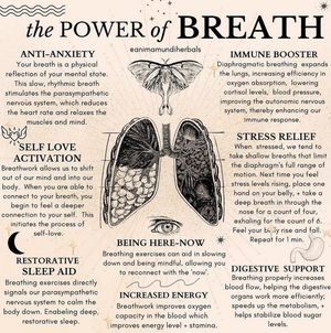 Image post by @anewdayhealth on Instagram