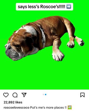 Image post by @f1miamigp on TikTok