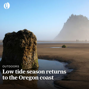 Image post by @theoregonian on Instagram
