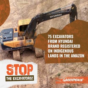 Image post by @greenpeace on Instagram